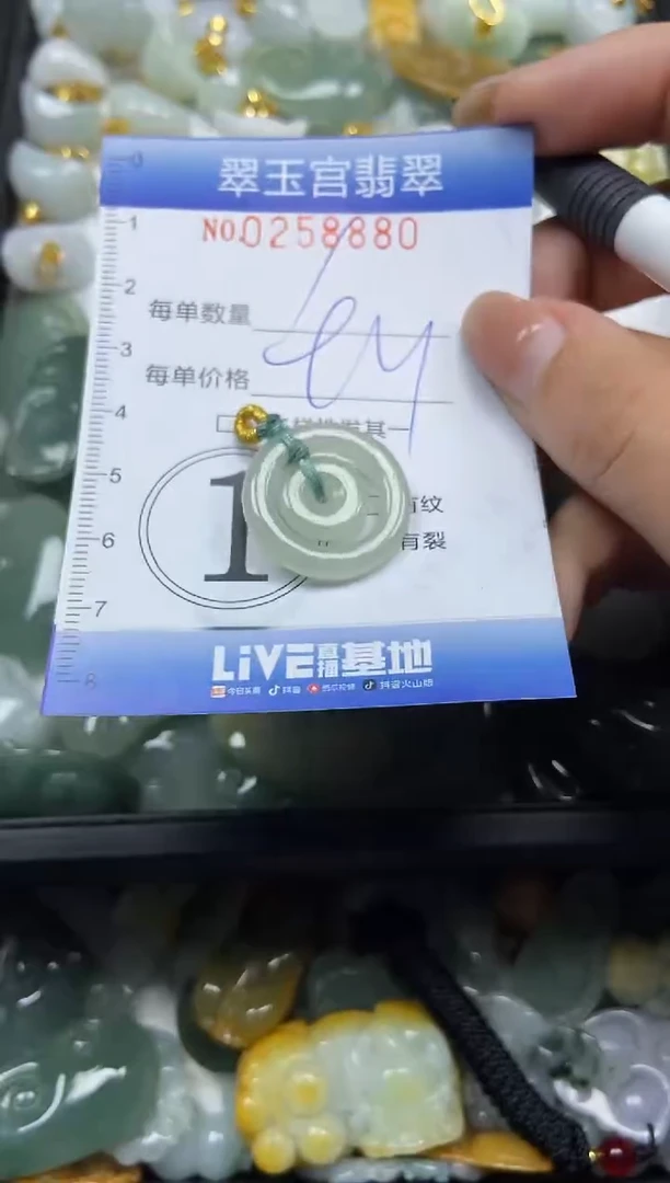 颈饰未镶嵌翡翠闪购C0258880