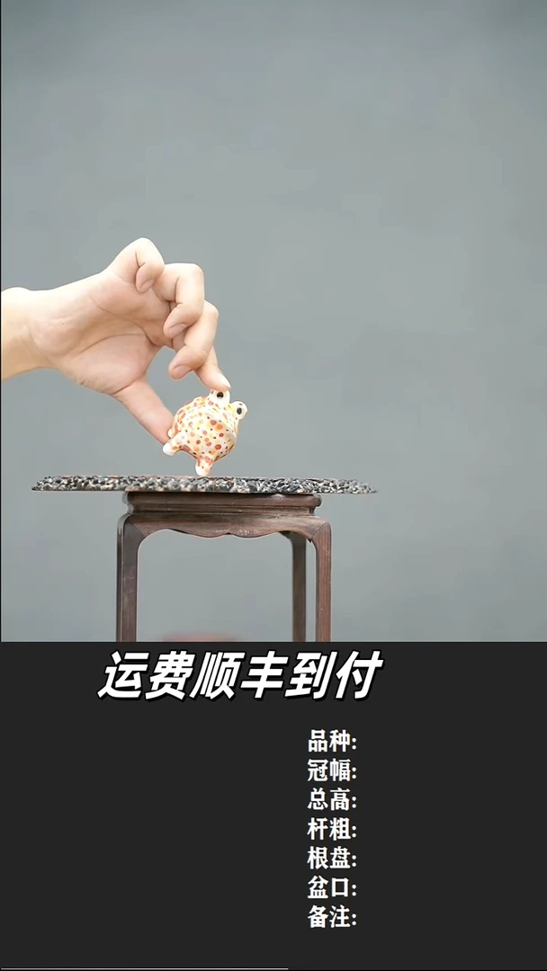 琦****傅13