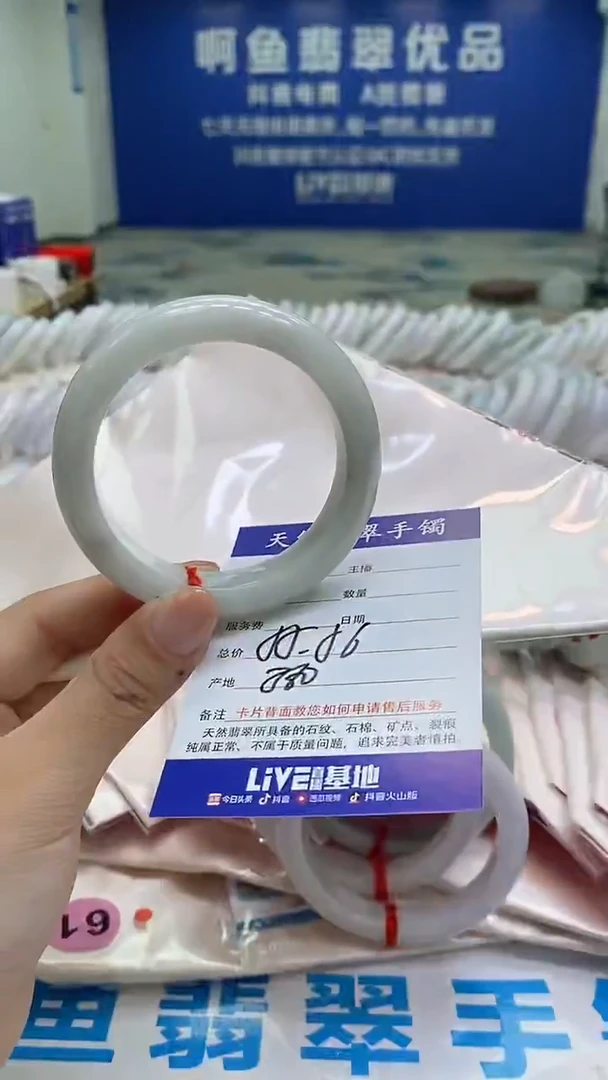 未镶嵌手镯翡翠732