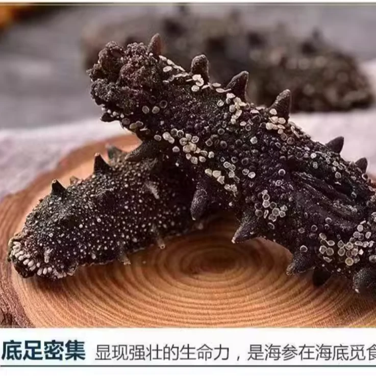 大连淡干海参1斤包邮味美品质