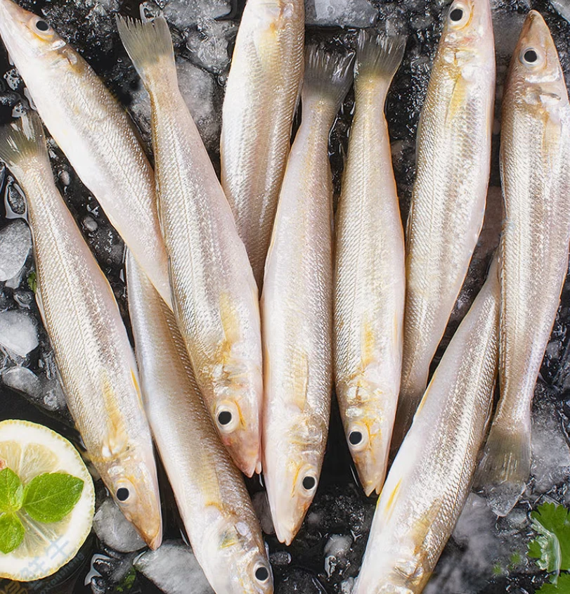 青岛野生沙丁鱼很新鲜（偶有破肚介意勿拍）13条左右/斤顺丰包邮