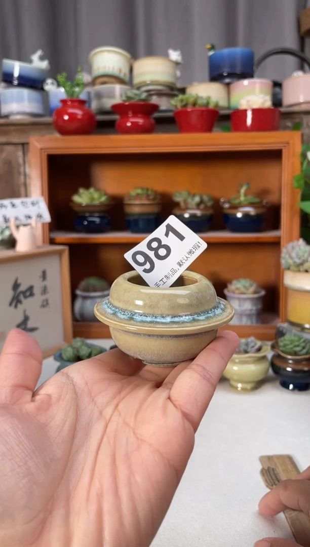 瓷片981知木小芳花盆编号