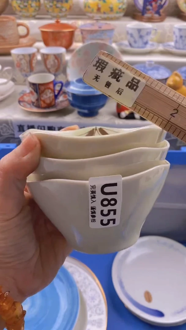 瓷片瓷片          855