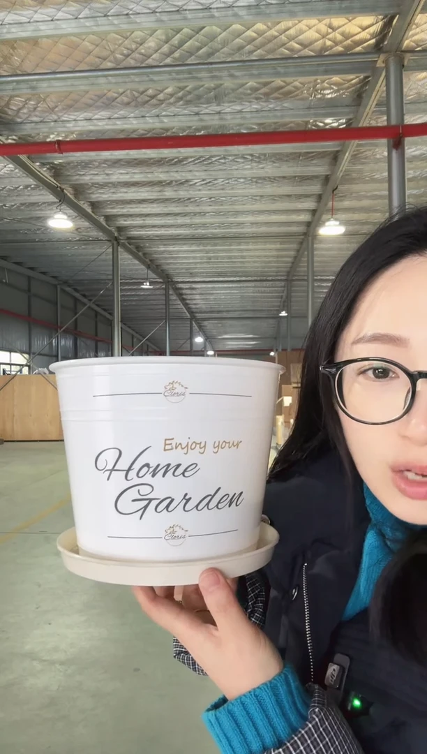 【闪购商品】塑料8寸罗斯玛丽白色印花4只装带托