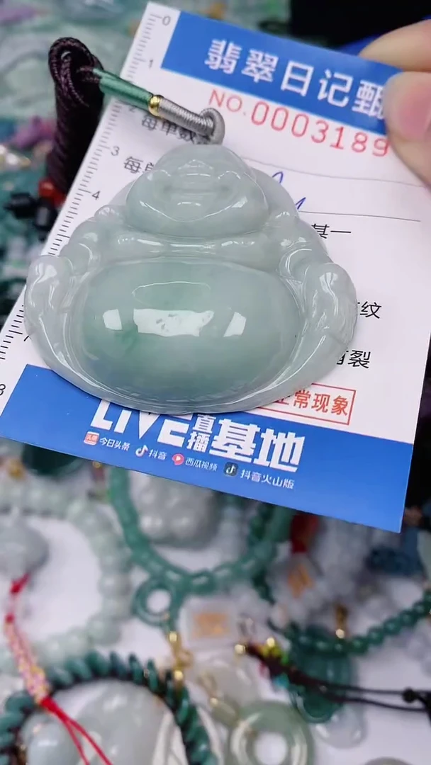 【闪购商品】翡翠颈饰未镶嵌00003189