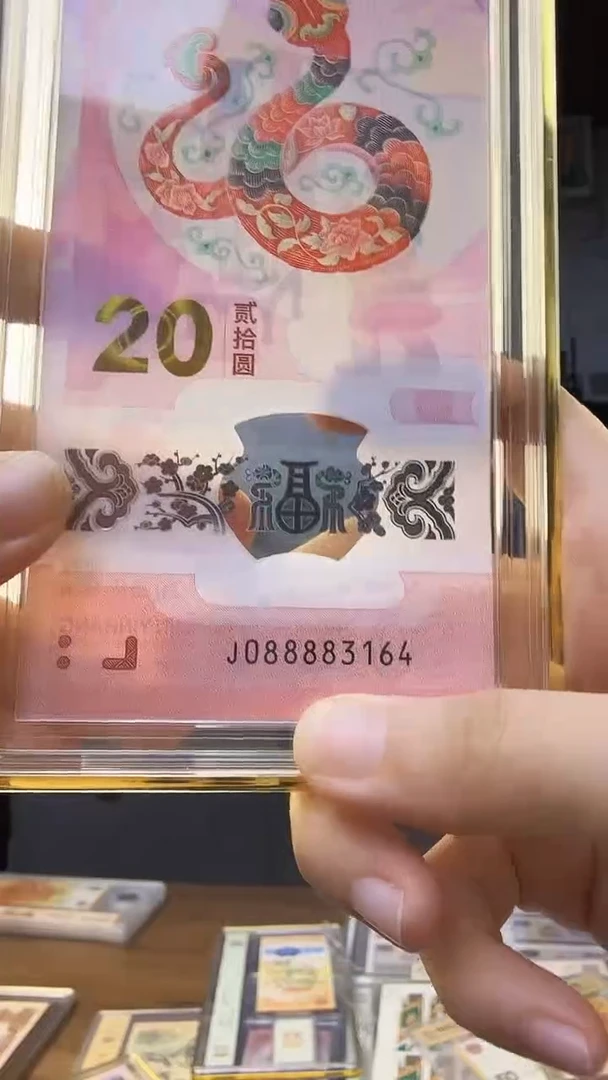 塑料蛇钞单张J088883164中钞鉴定100分