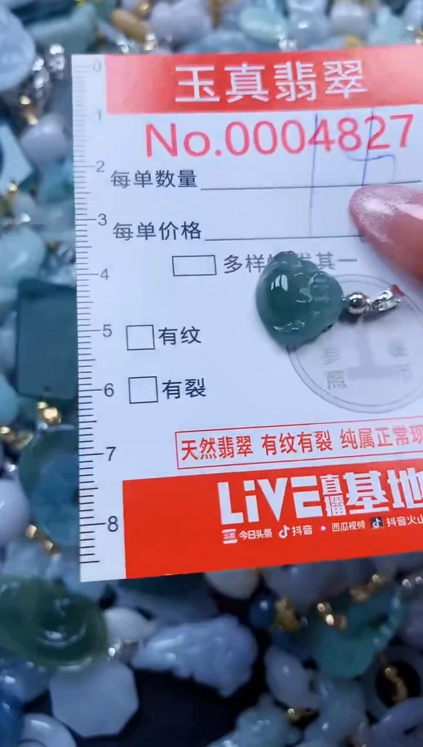 翡翠未镶嵌吊坠(不含链)4827