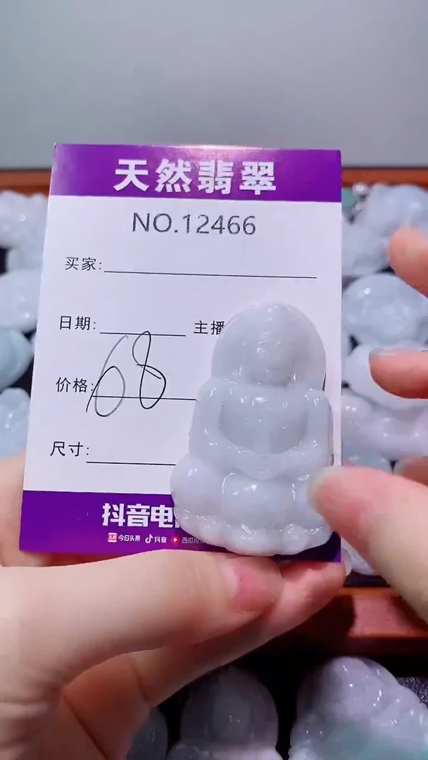 翡翠未镶嵌吊坠(赠链)466