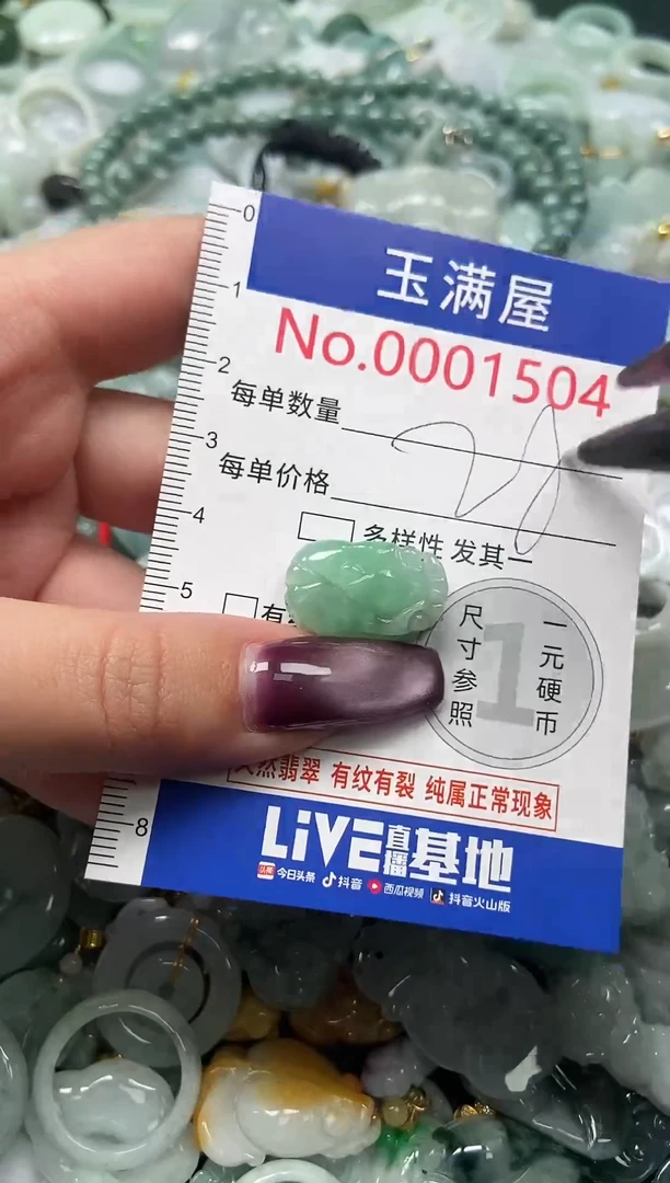 颈饰未镶嵌翡翠1504