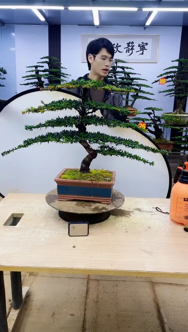 无花朵0000000000000000