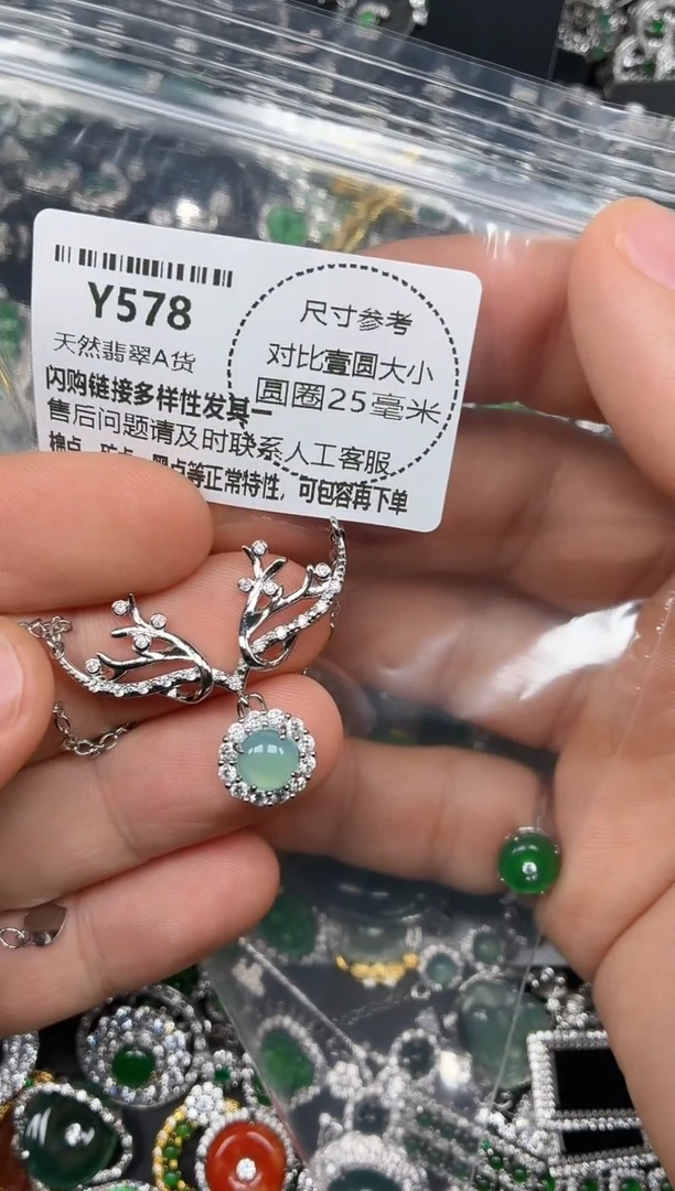 颈饰未镶嵌翡翠Y578项链
