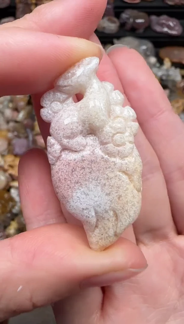 颈饰未镶嵌硅化珊瑚（珊瑚玉）308
