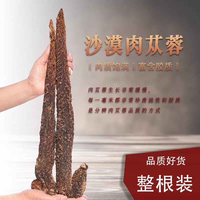 内蒙古阿拉善肉苁蓉整根干货 zh2