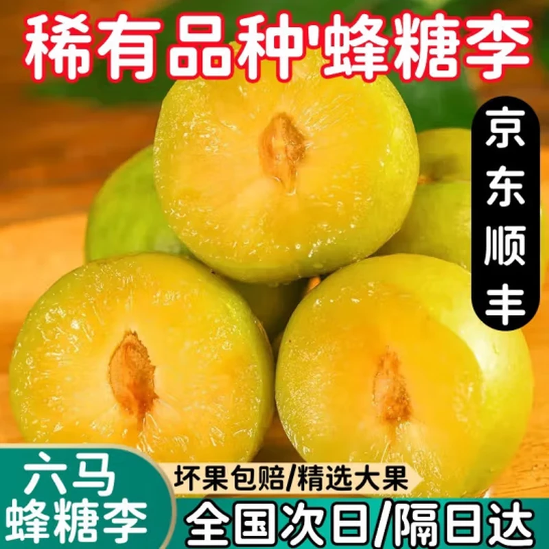 【空运】正宗六马蜂糖李青脆李脱骨李当季新鲜水果现摘李子脆李整箱