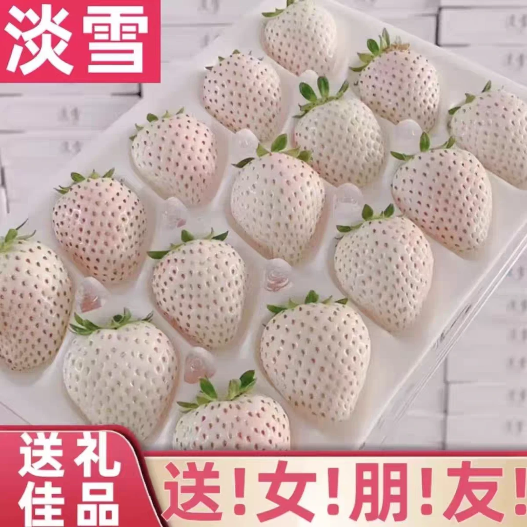 【顺丰空运】淡雪白草莓新鲜甄选现摘草莓白雪公主香甜1斤送礼
