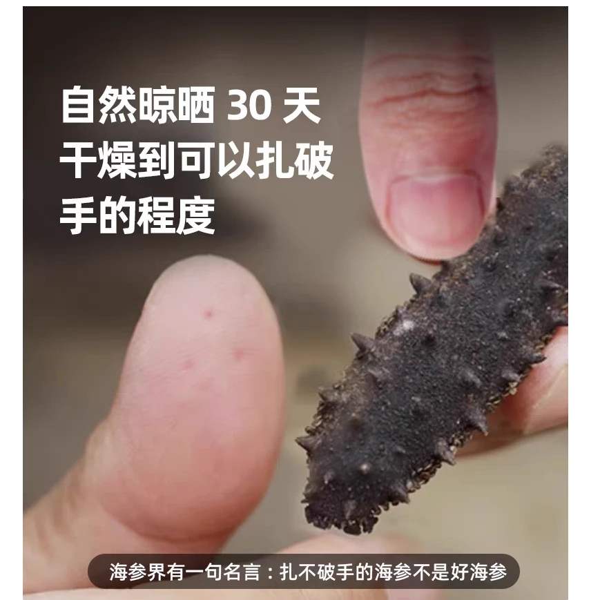 大连国标淡干海参 AAA 深水高品质无添加不加料 买就送小海参