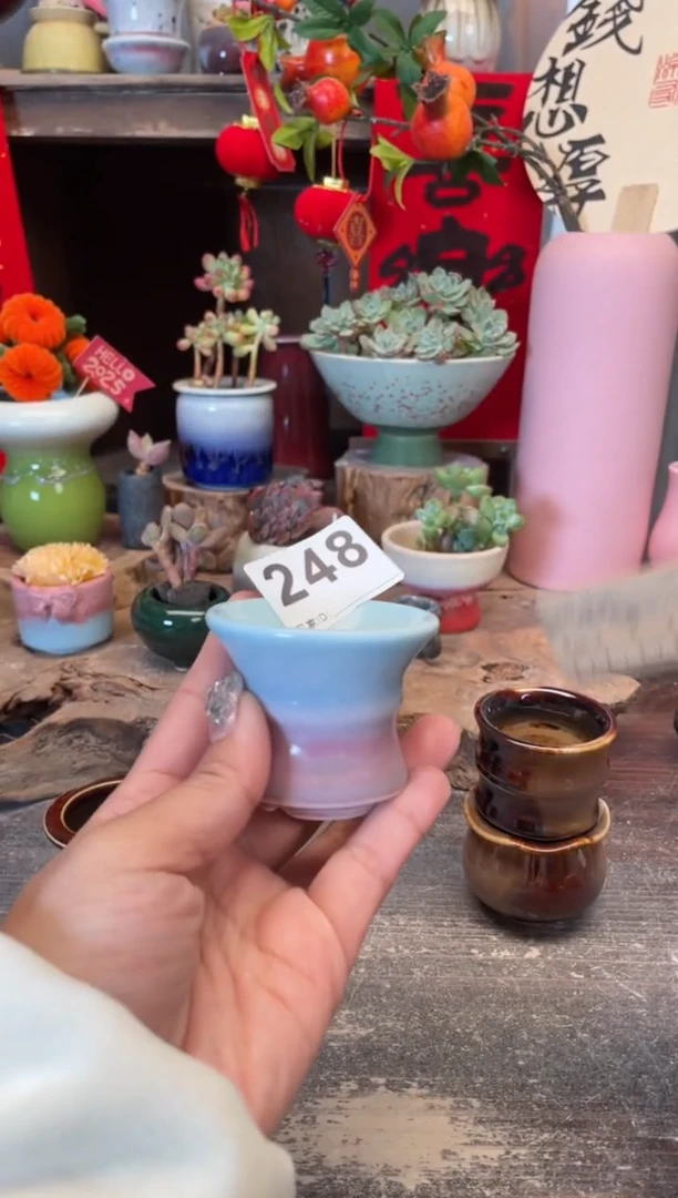 【闪购商品】摆件248知木小芳花盆