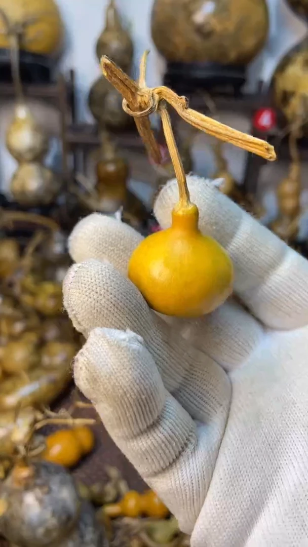 【闪购商品】葫芦葫芦葫芦葫芦