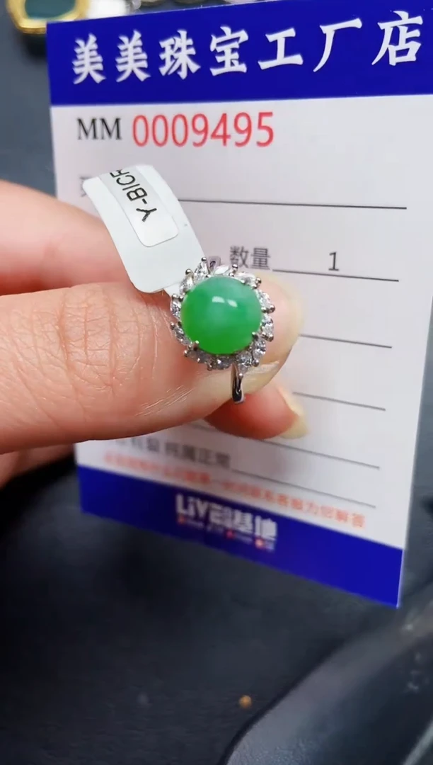 翡翠银S925镶嵌颈饰9495