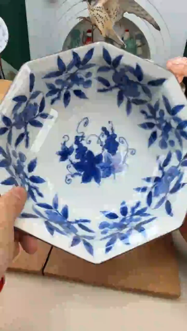 美物严选好物多多c445