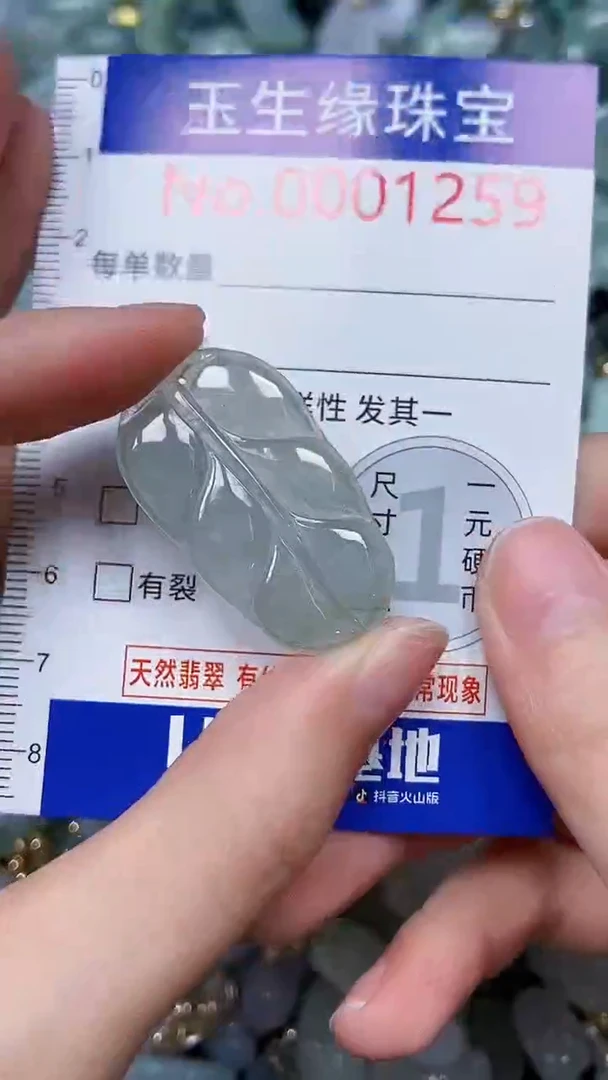 【闪购商品】翡翠颈饰未镶嵌闪购00001259