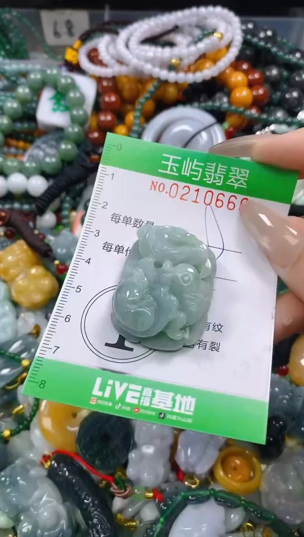 颈饰未镶嵌翡翠闪购0210660