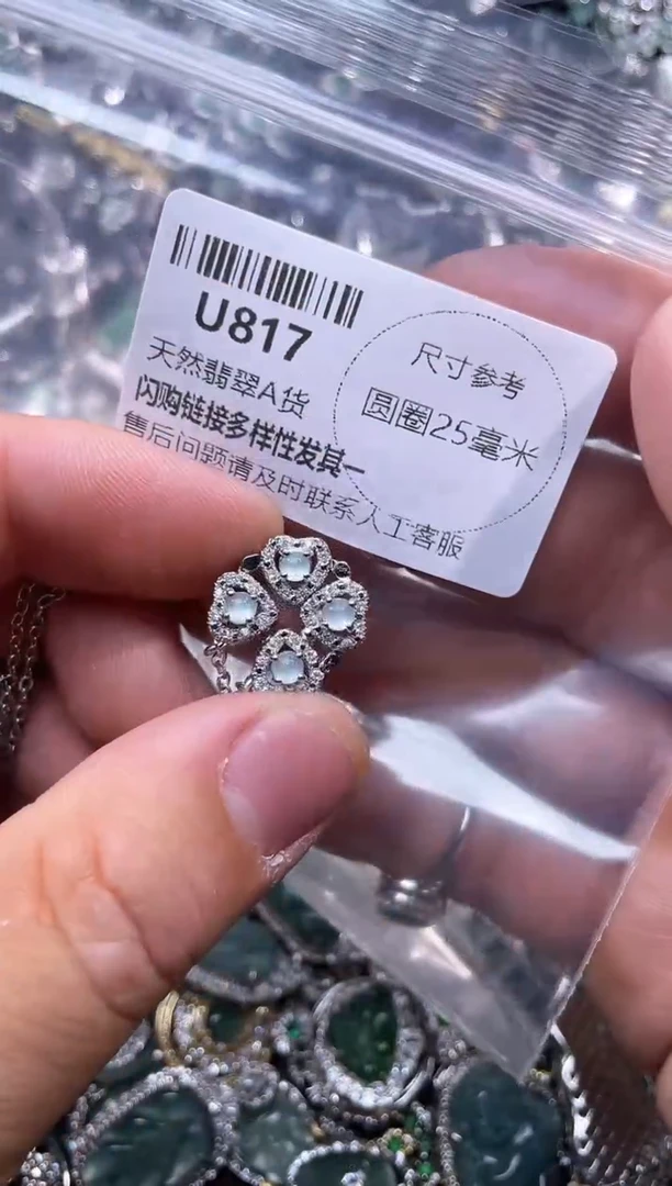 【闪购商品】翡翠颈饰未镶嵌U817项链