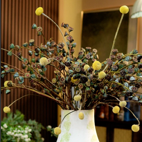 【钻石尤加利】钻石尤加利果老果高级老花质感小众花材38花束送礼