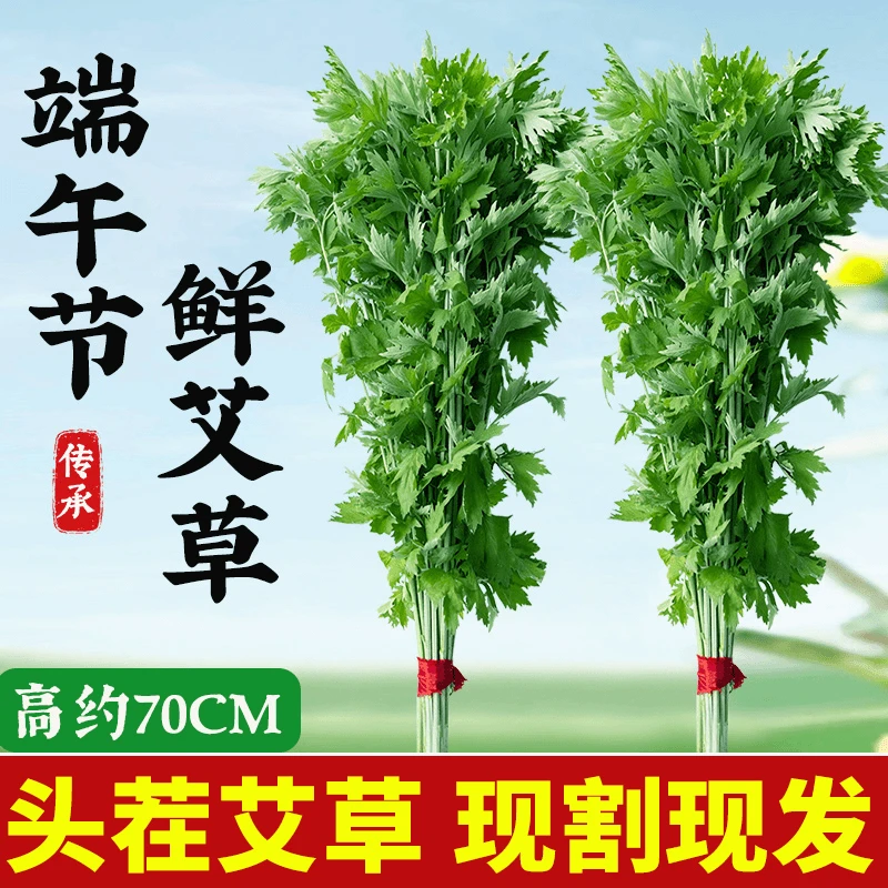 家用端午节全株艾草新鲜艾叶挂门艾叶全棵手工艾草花束插门窗嫩艾