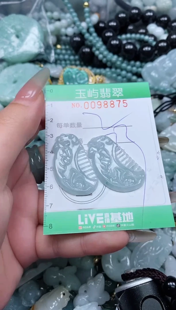 【闪购商品】翡翠未镶嵌颈饰闪购0098875