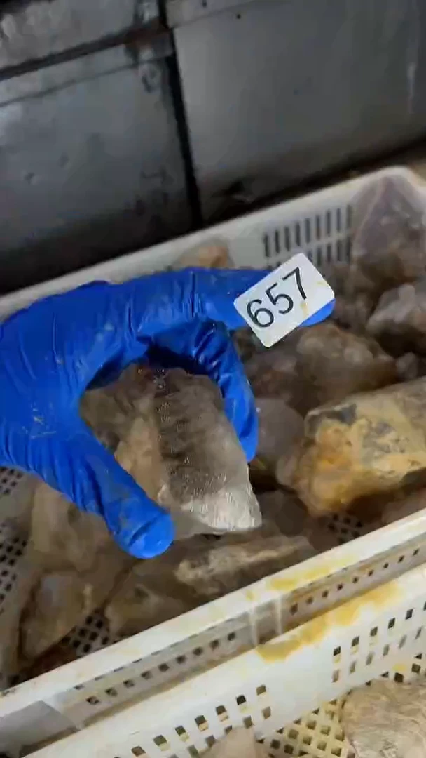 未镶嵌珠宝半成品水晶骸骨骨干水晶-657