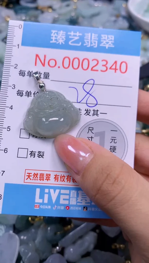 颈饰未镶嵌翡翠2340
