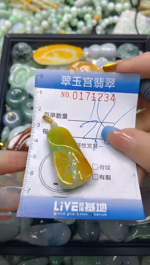 翡翠未镶嵌颈饰闪购0171234