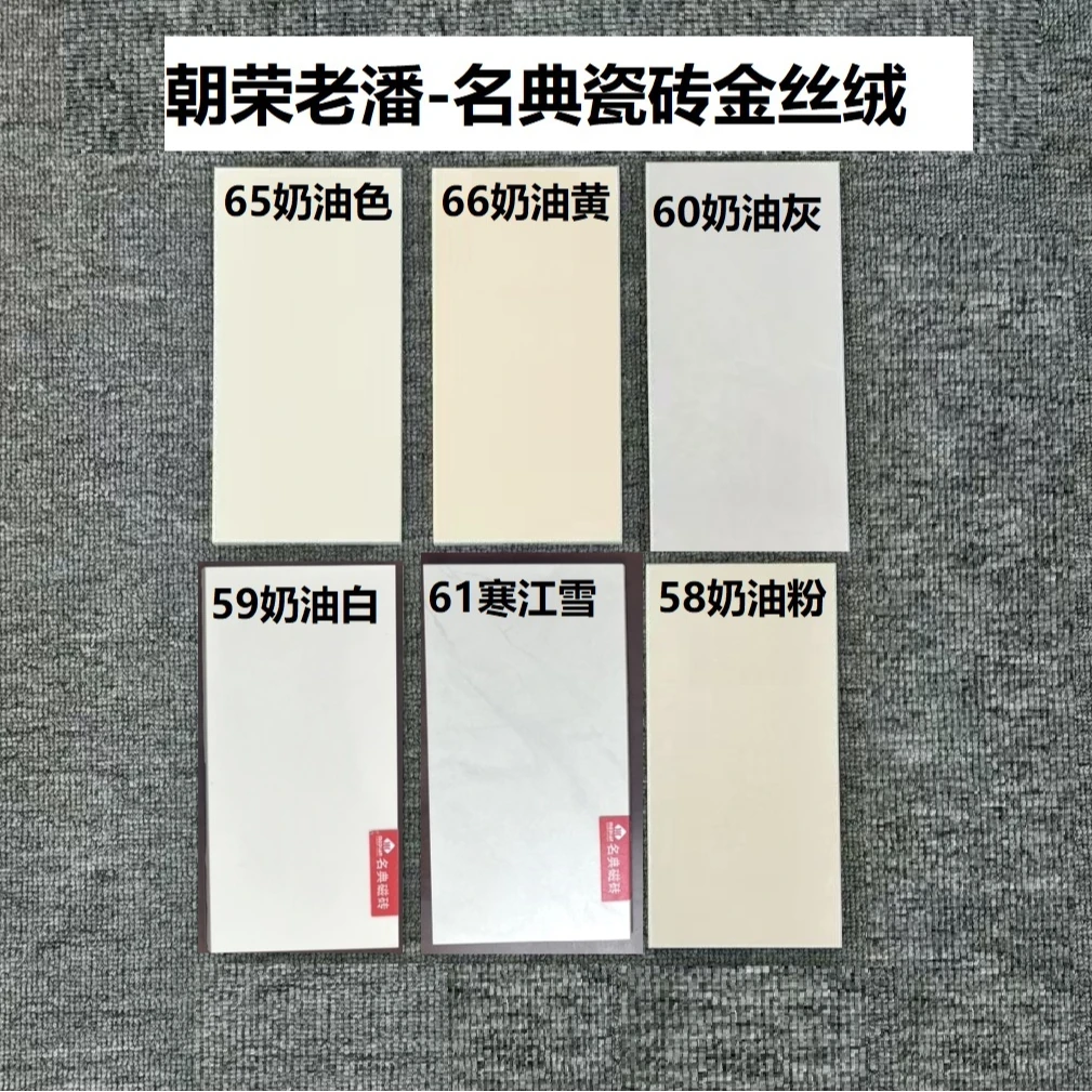 2新款6.0金丝绒柔光砖超白坯体抗污易打理金丝绒奶油风客餐厅地砖