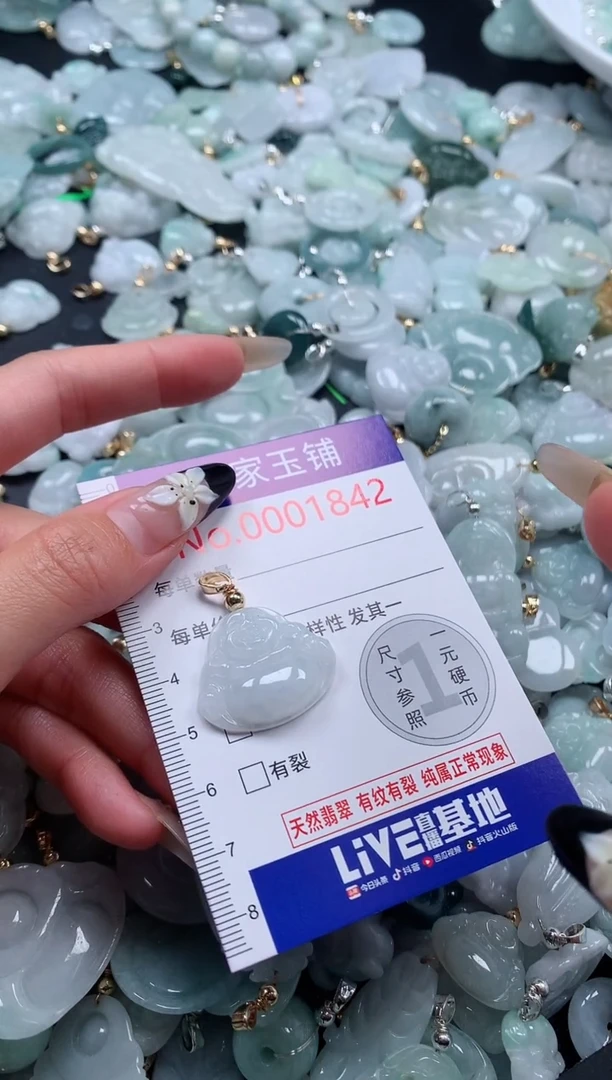 颈饰未镶嵌翡翠1842