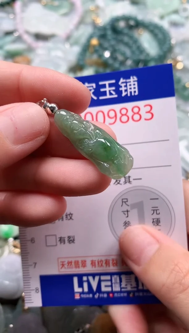 翡翠未镶嵌吊坠(不含链)9883