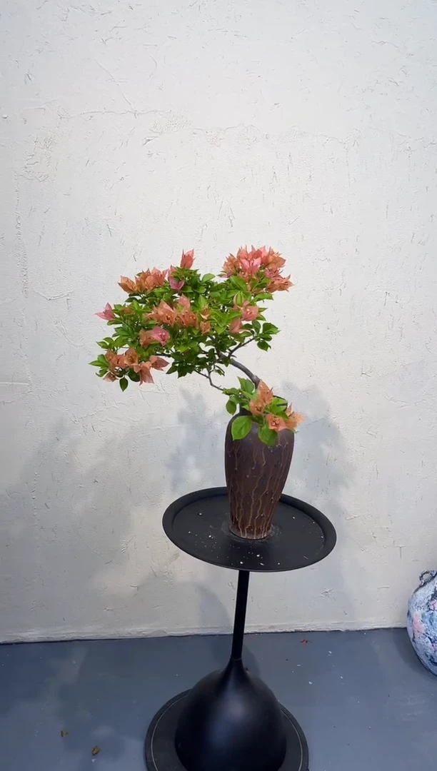 完全开放清***尘佩德罗