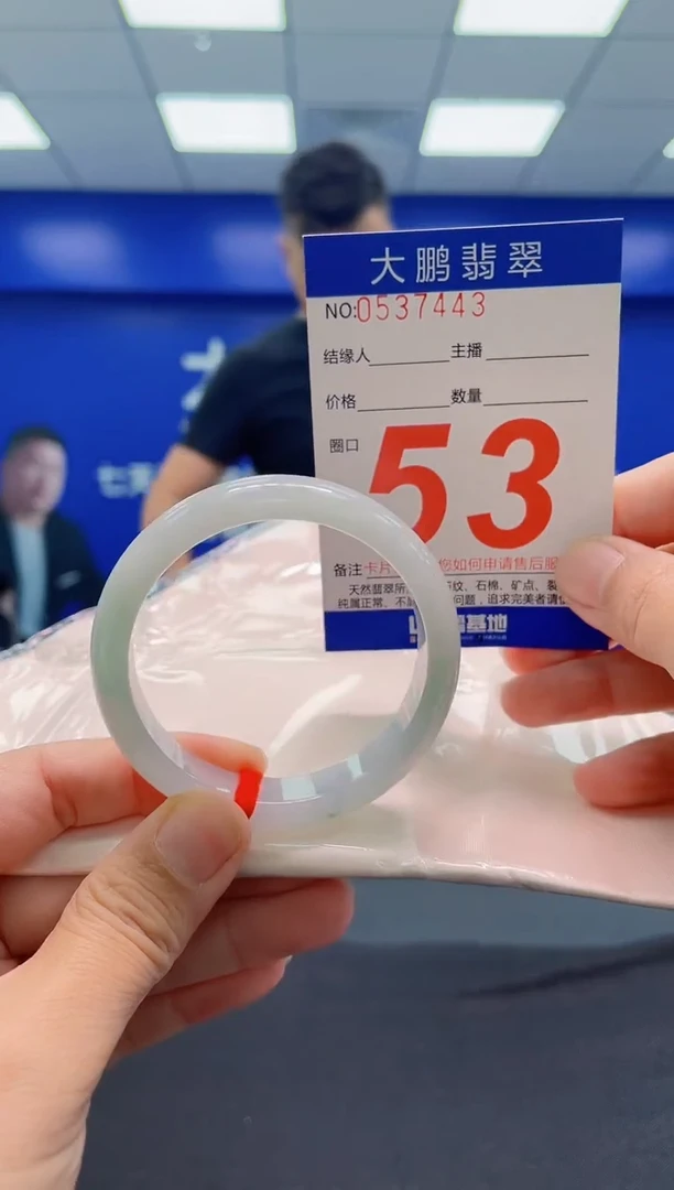 未镶嵌手镯翡翠AAAAAAAAA