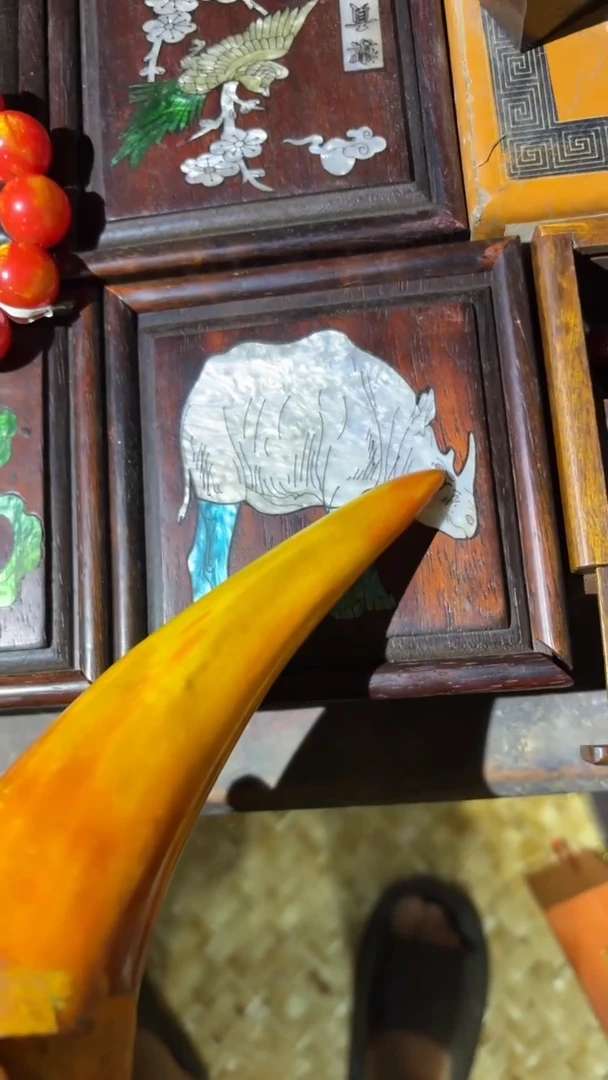 琳专属哈哈哈哈哈哈哈哈哈哈哈