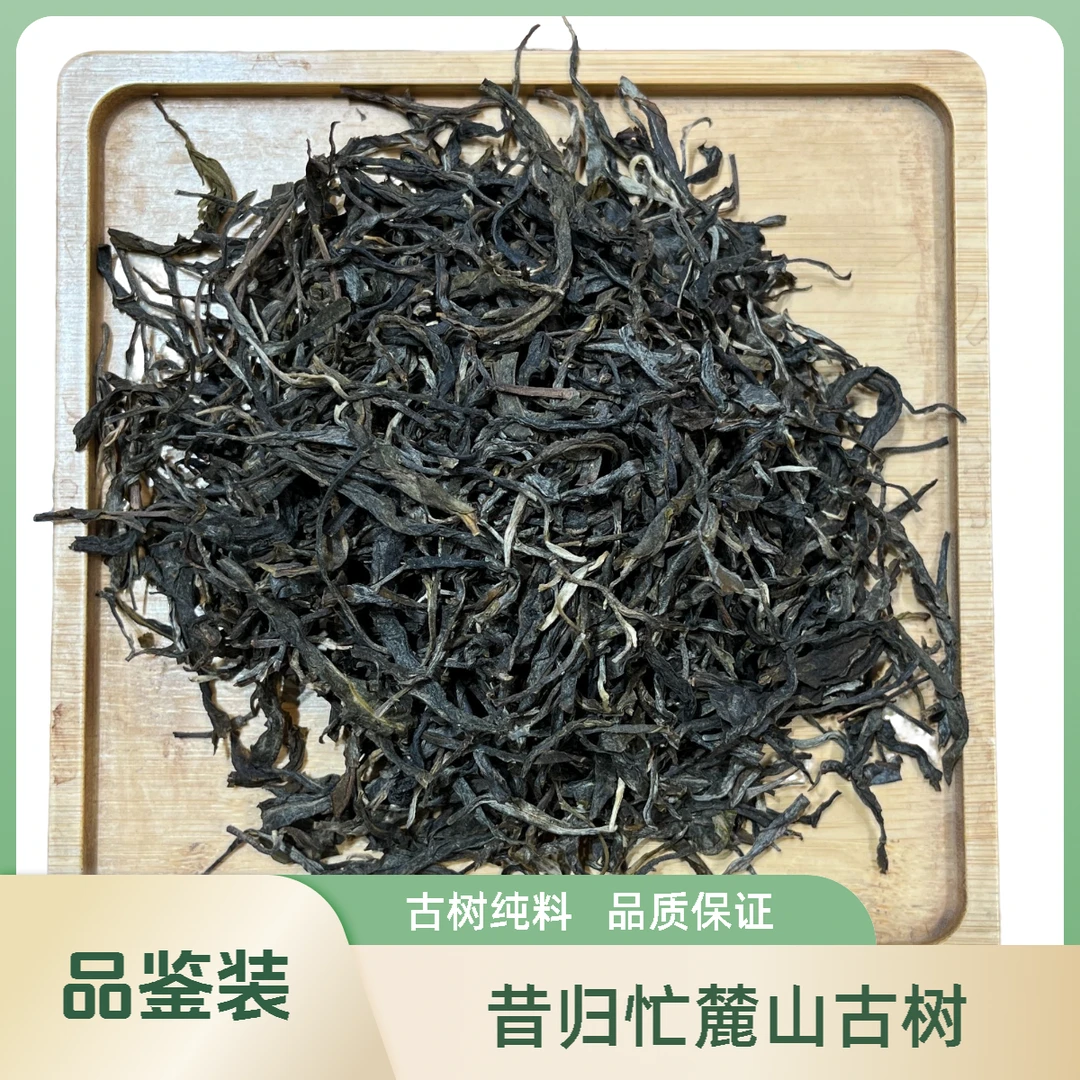 【品鉴装】2023年昔归忙麓山古树春茶散料200克
