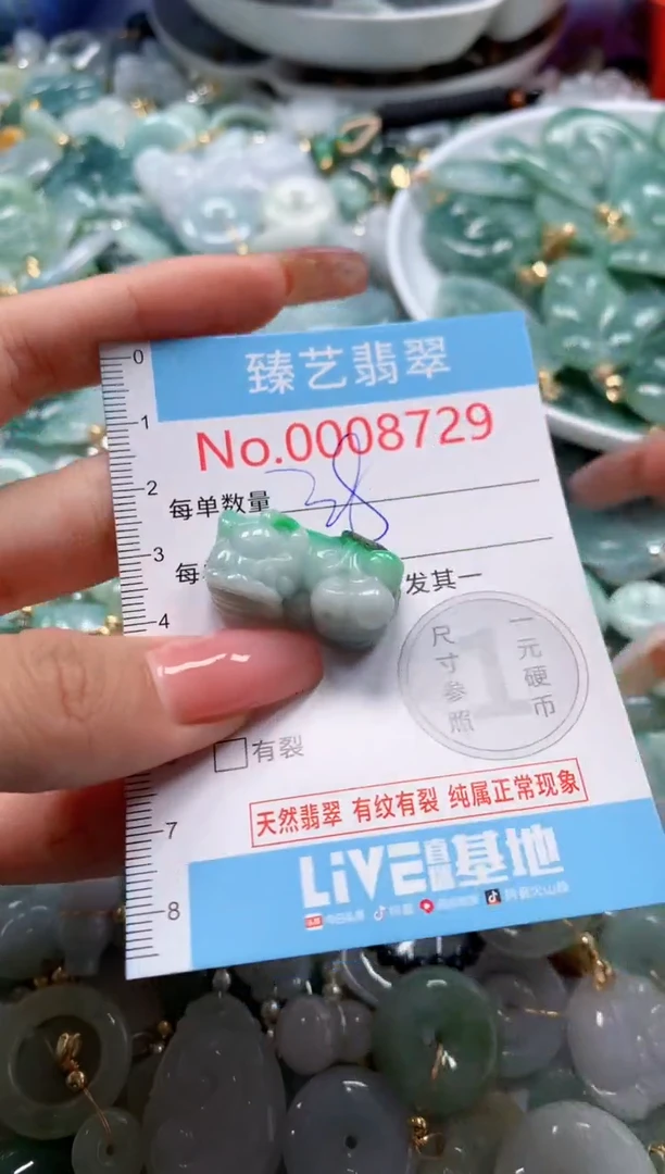 翡翠未镶嵌吊坠(不含链)8729
