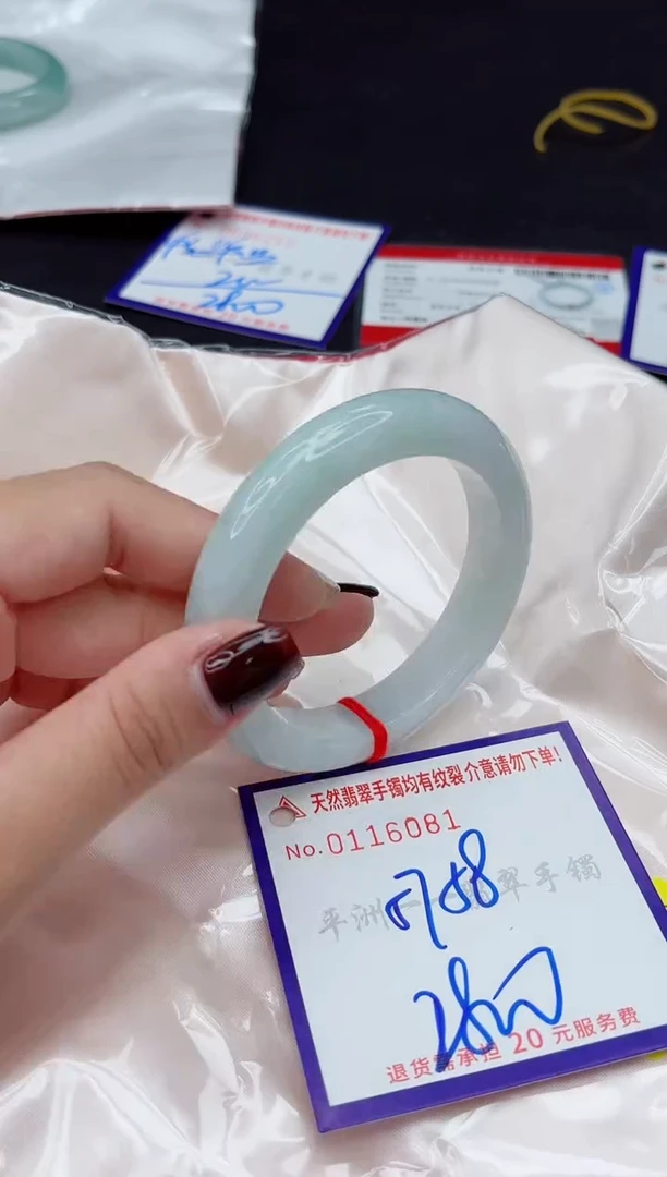 未镶嵌手镯翡翠1111111