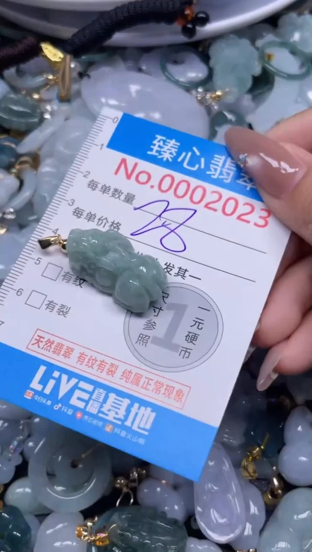 颈饰未镶嵌翡翠2023