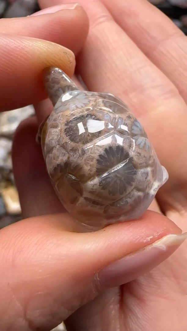 【闪购商品】硅化珊瑚（珊瑚玉）颈饰未镶嵌520