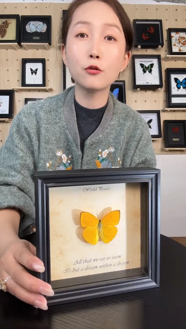 杏菲粉蝶蝴蝶装饰画6寸框