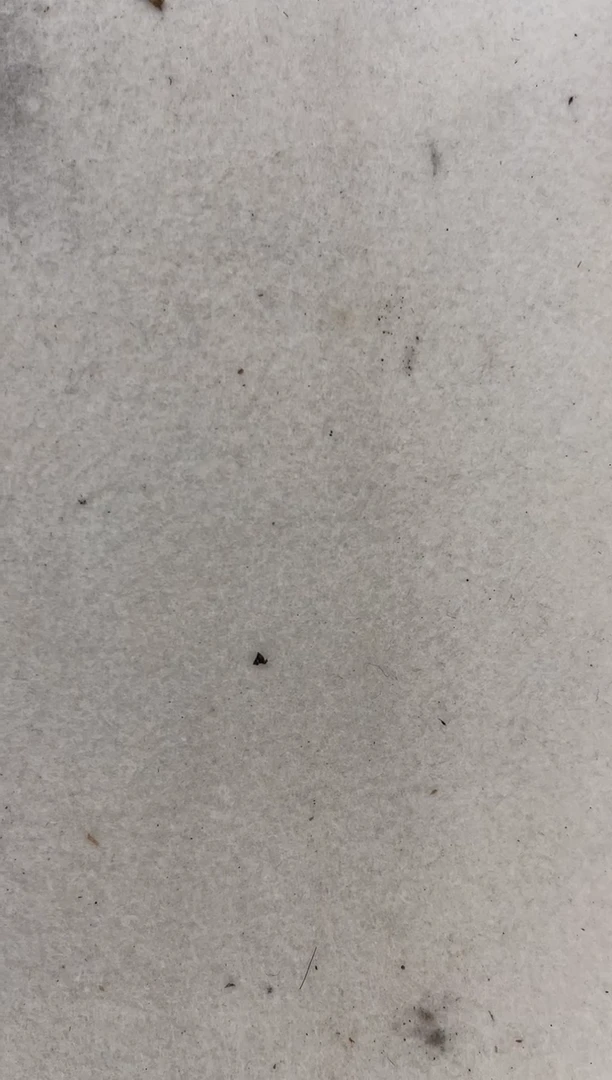 书法韩江书画天悦-韦老师（题材随机）