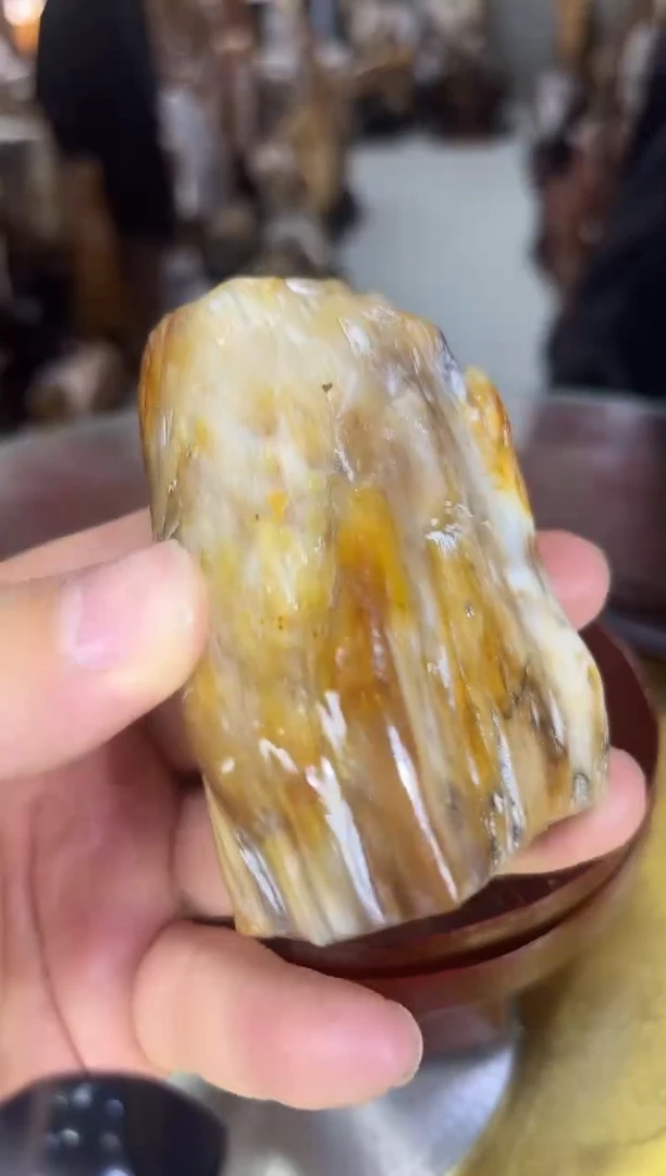 硅化玉珠宝奇石未镶嵌缅甸天然树化玉