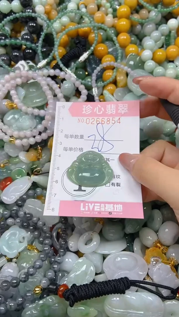 翡翠未镶嵌颈饰闪购0266854