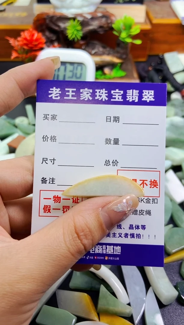 【闪购商品】翡翠颈饰未镶嵌料子