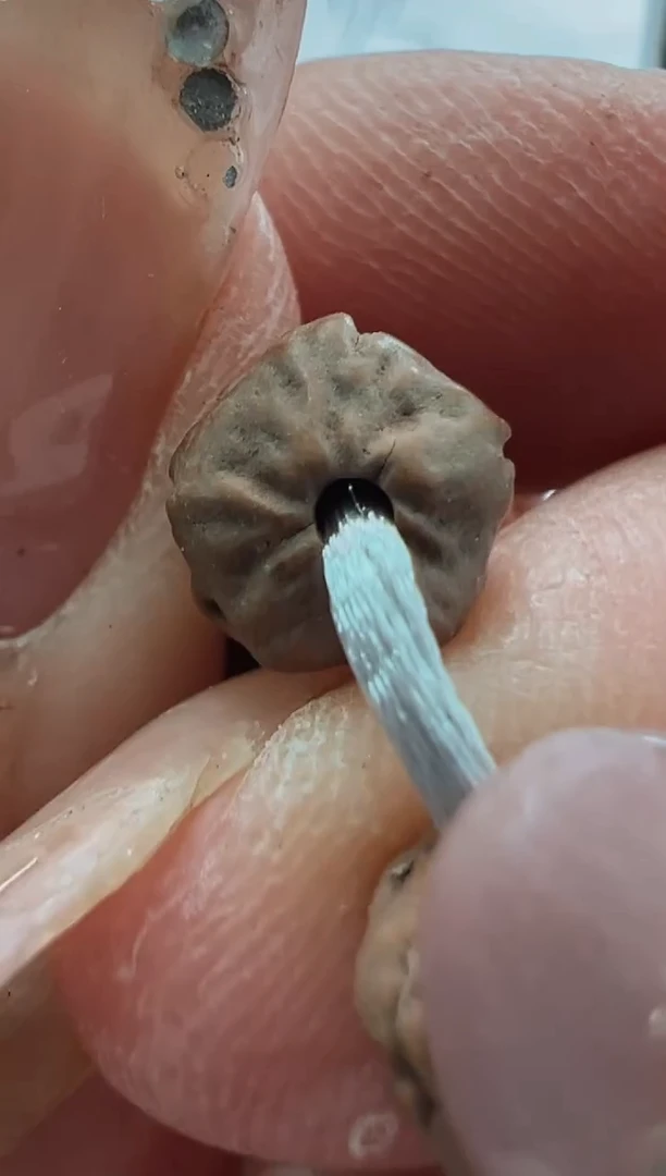 手串金刚菩提830五爪金龙佛手108长串